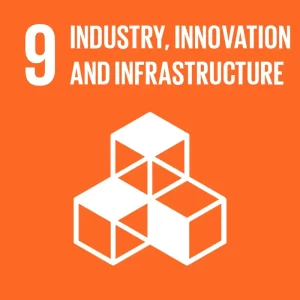 industry innovation and infrastructure